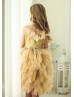 Gold Lace Ruffle Tulle Beaded Flower Girl Dress